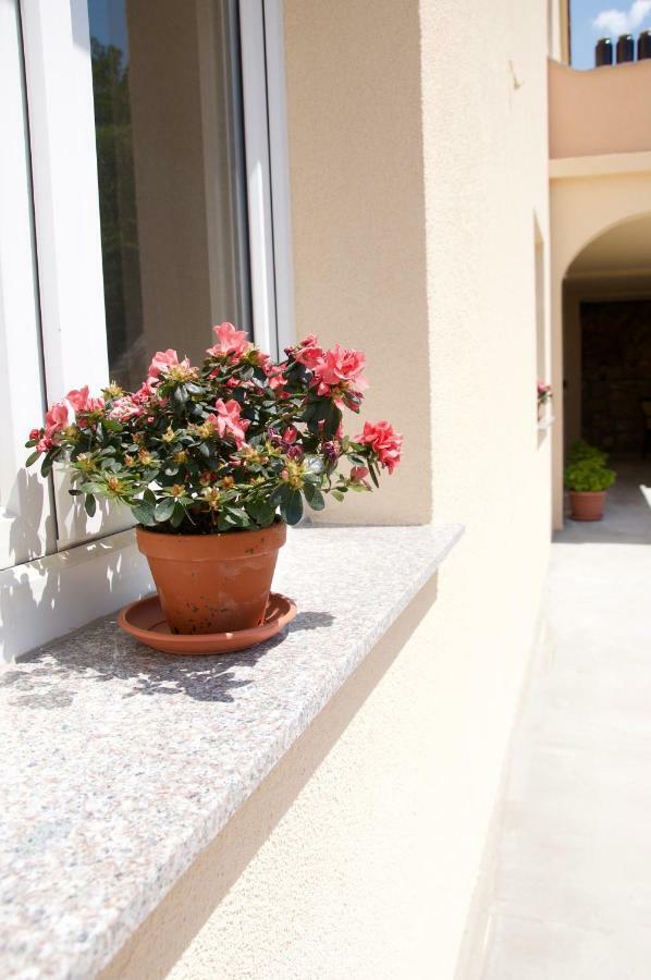Apartment Viveniti Кленовица Экстерьер фото